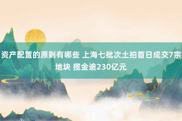 资产配置的原则有哪些 上海七批次土拍首日成交7宗地块 揽金逾230亿元