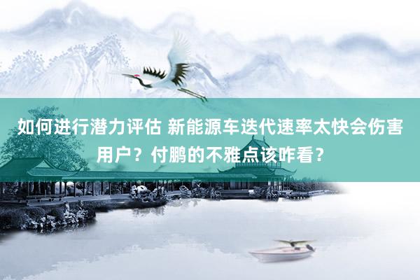 如何进行潜力评估 新能源车迭代速率太快会伤害用户？付鹏的不雅点该咋看？