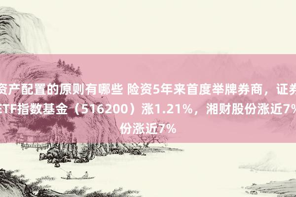 资产配置的原则有哪些 险资5年来首度举牌券商，证券ETF指数