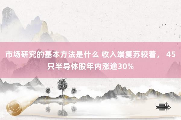 市场研究的基本方法是什么 收入端复苏较着， 45只半导体股年内涨逾30%