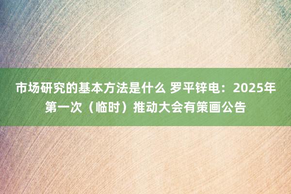 市场研究的基本方法是什么 罗平锌电：2025年第一次（临时）